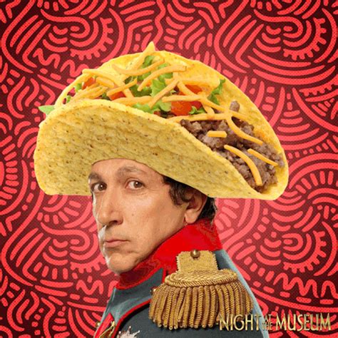 funny taco gif|funny taco photos.